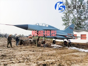 仿真飛機(jī)模型